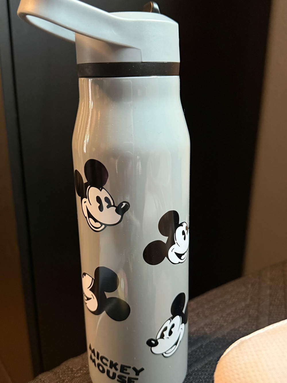 Mickey Mouse Stainless Steel Water Bottle - White